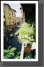 Florence,_Balcony_View_1_.jpg
